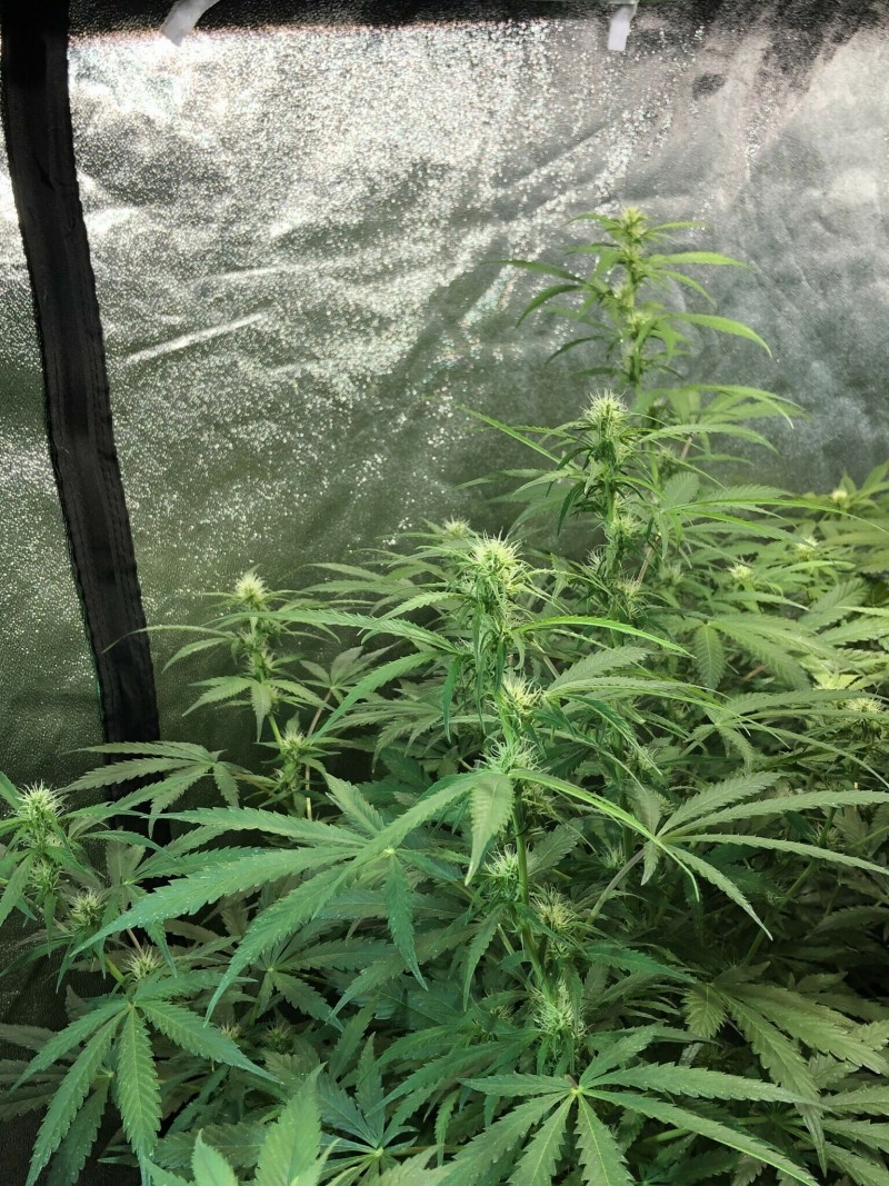 2CD2A157-0765-43FD-8F60-97D6F7B165E1