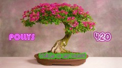 3F7F0BE8-43F7-4D14-B524-A44E4D7FEA9C