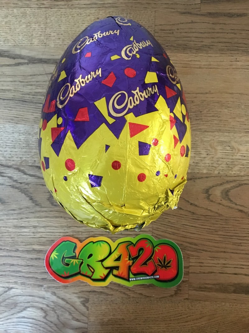 5FE4F747-F347-4A45-B588-56A17503A59E