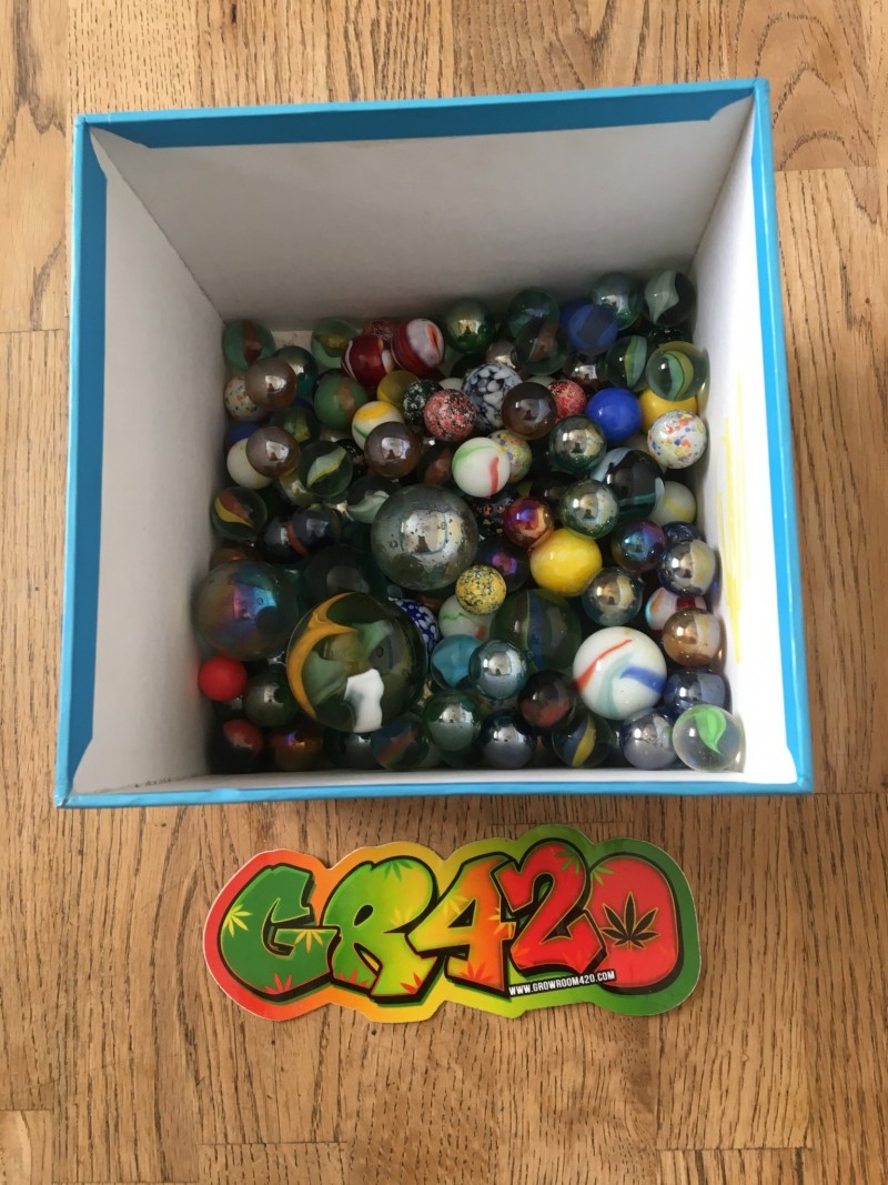 CE7D7EB3-0DF7-4AEE-AF28-2C9991491A24