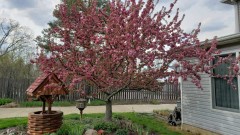 16188652453354837061664613548967