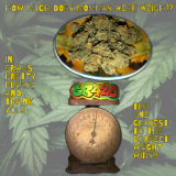 Untitled1129_20210419171151