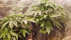 16188766959603199338408697306218