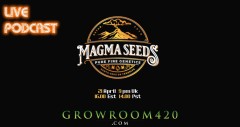 mn-podcast-21-april-maga-seeds-NO-FIRE-web