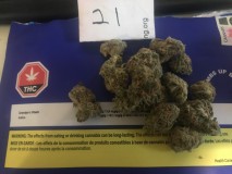 DD86B7A2-0181-4DA6-86C6-1B5F57BA8B08