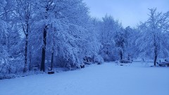 16190023304438058335603598817951