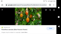 Screenshot_20210421-214137