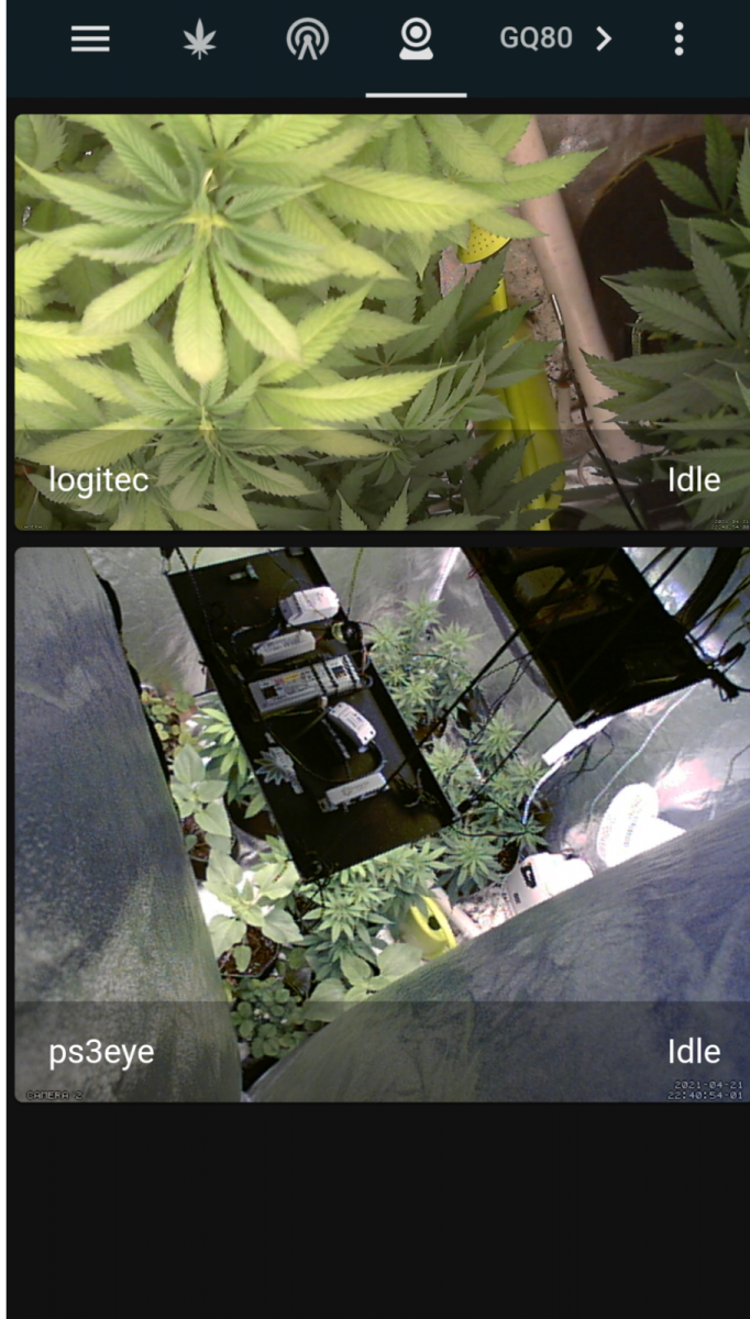 sketch-1619041279016