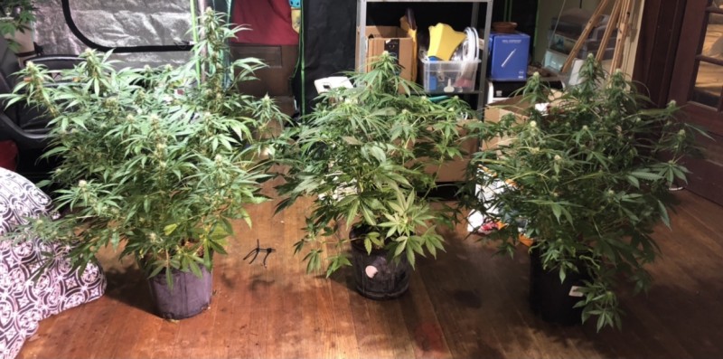 6F9F5CB6-F976-41DE-8302-FDE0B0BFFC87