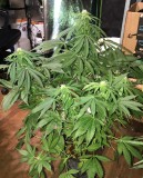 D21C0CFF-2202-45A6-B45D-BCC6EBDD3457