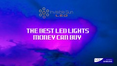 mn is best lights on the market