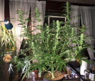 9BF61687-9631-4037-B9A1-1F1F3381251B