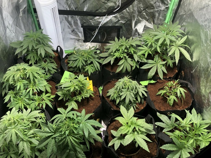 6E5CE17C-F75E-41E4-B1A6-AB0BD929A56B