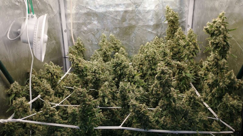 IMG_20210426_113945863