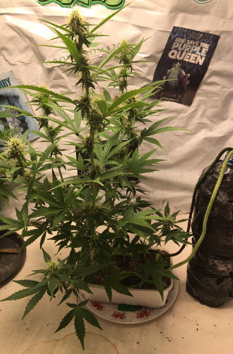 DECDEBAD-2F4F-4084-B1B7-216CA0156228