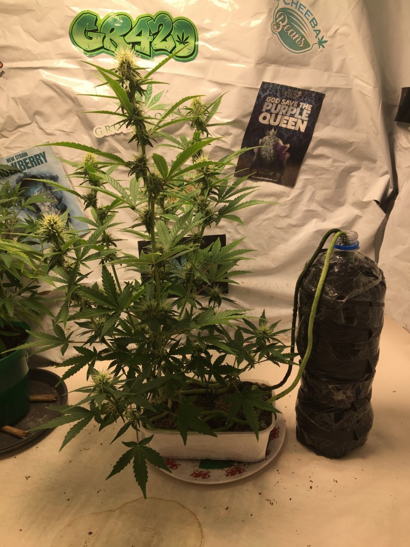 0C569022-E93F-4F5D-B2A2-8D4DAF5B1DCD