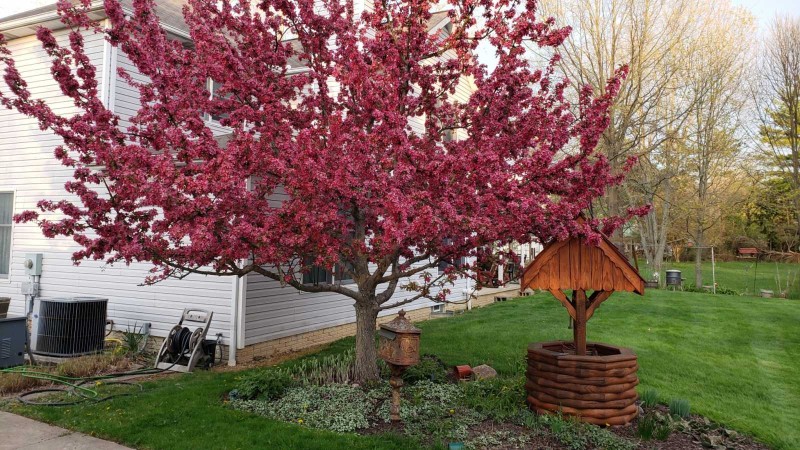 16194810919884838293065193943106