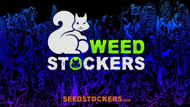 mn seedsockers blue bk