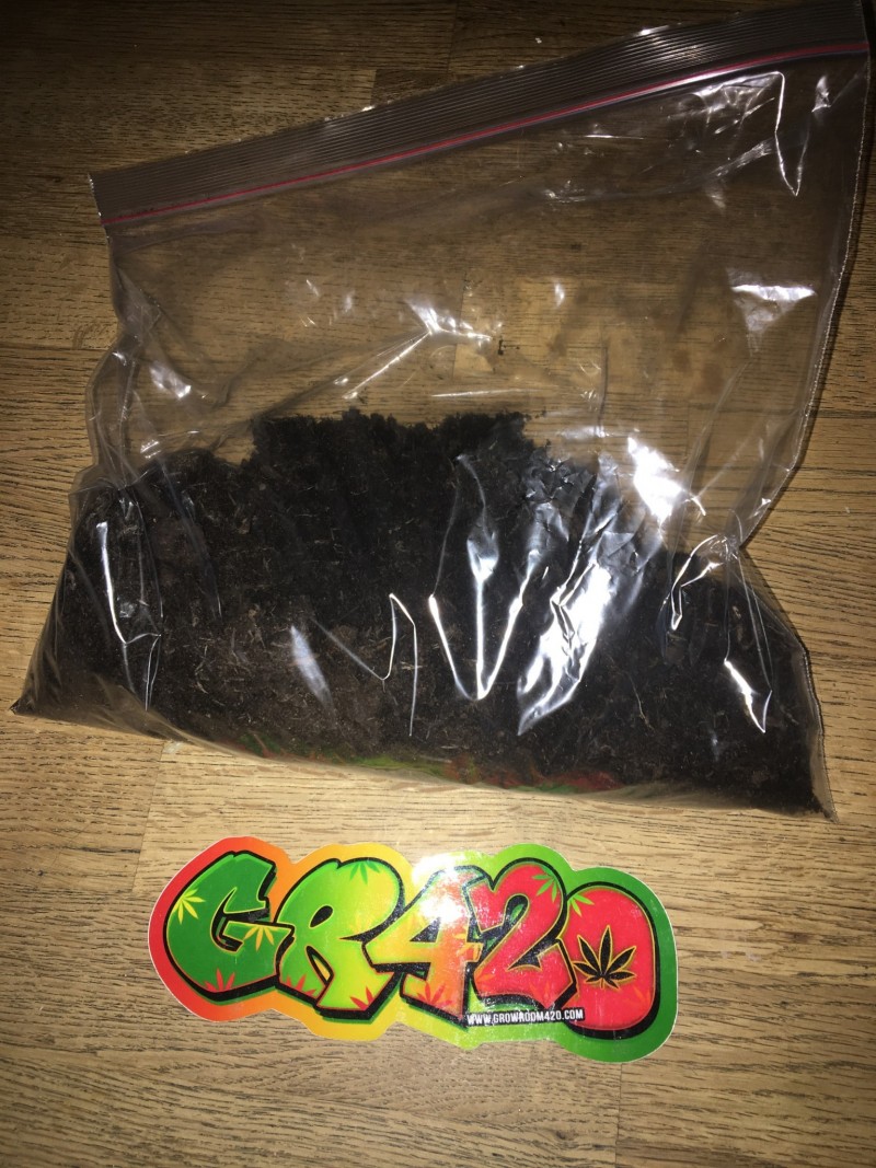 93305635-3157-4D6A-A689-F0062B924C31