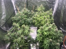 9B6CB156-44A8-452F-800B-DF0FF9EDBD22