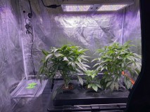 5E390E24-372D-4DC2-840B-E5B71F439F00