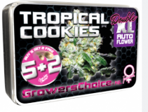 Screenshot 2021-04-28 20.47.33