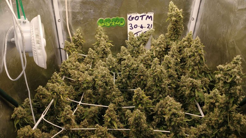 IMG_20210430_142309822