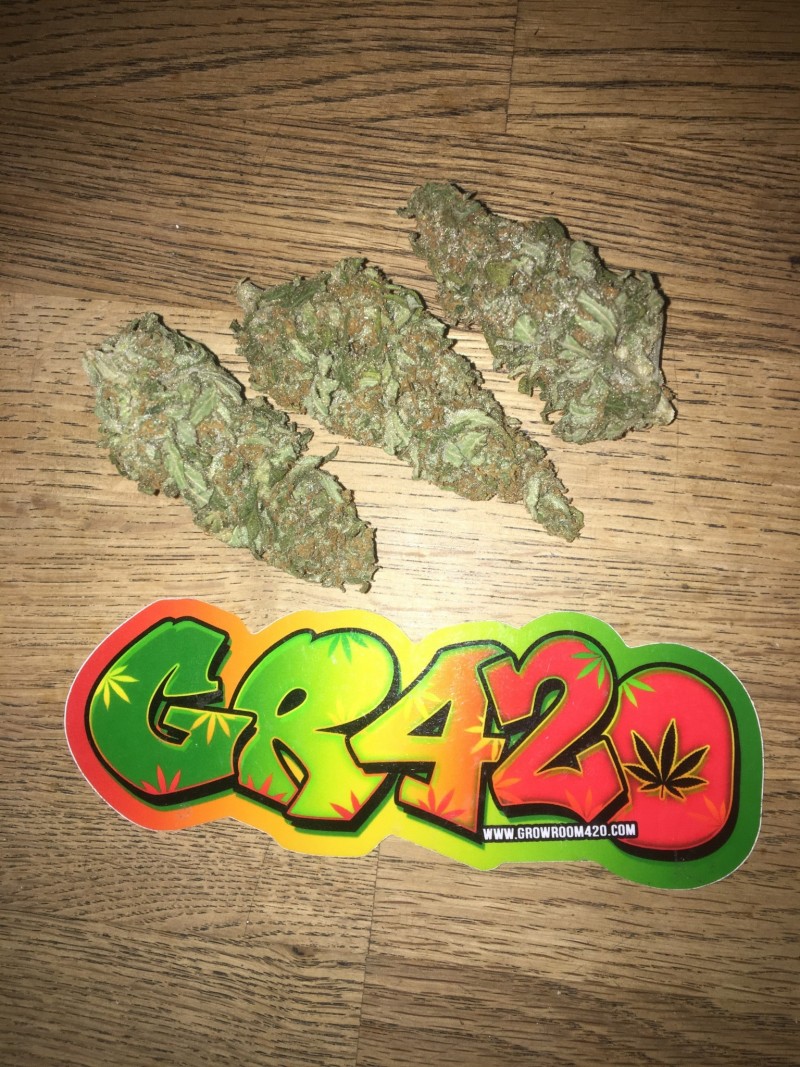 CC881CB4-EA1C-4E36-94D7-ECAE7626FBB7