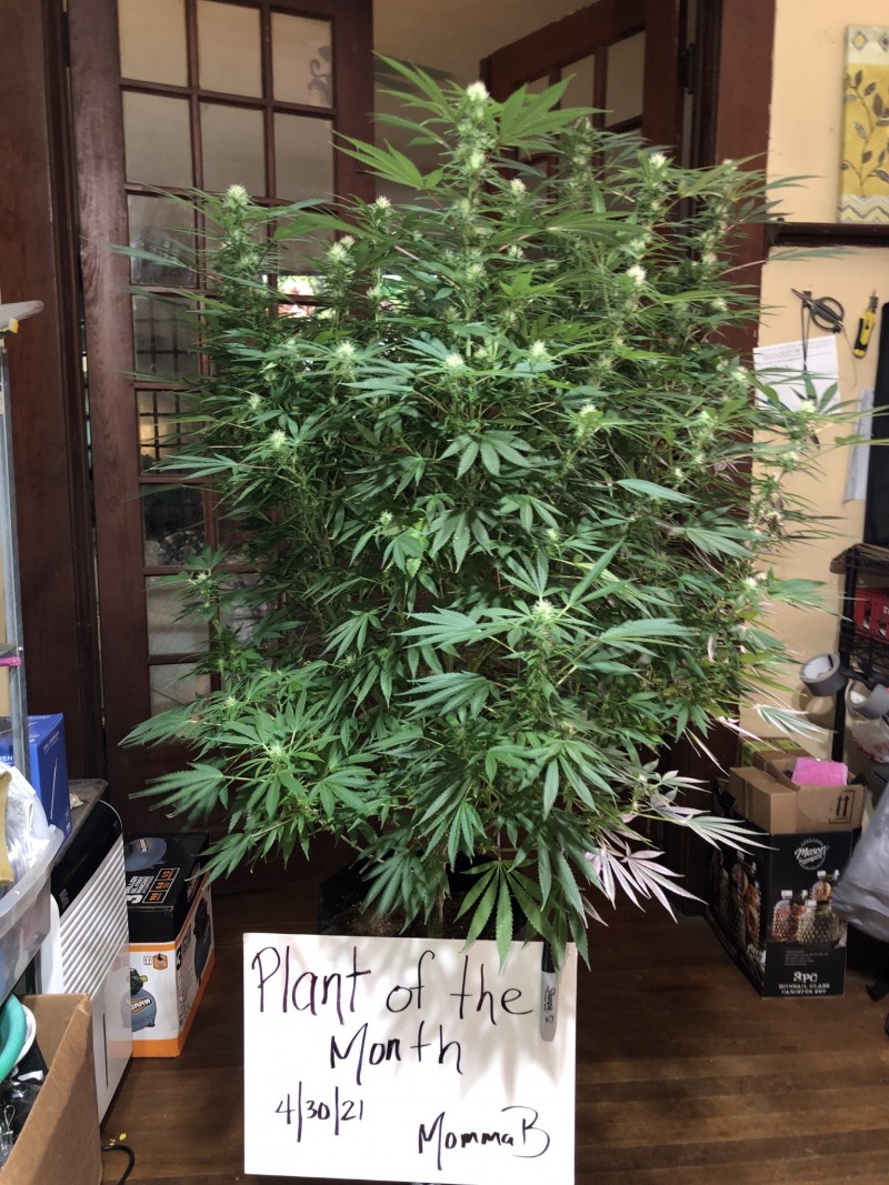 F6D9DD9F-A466-4871-9D14-31AB05237ED9