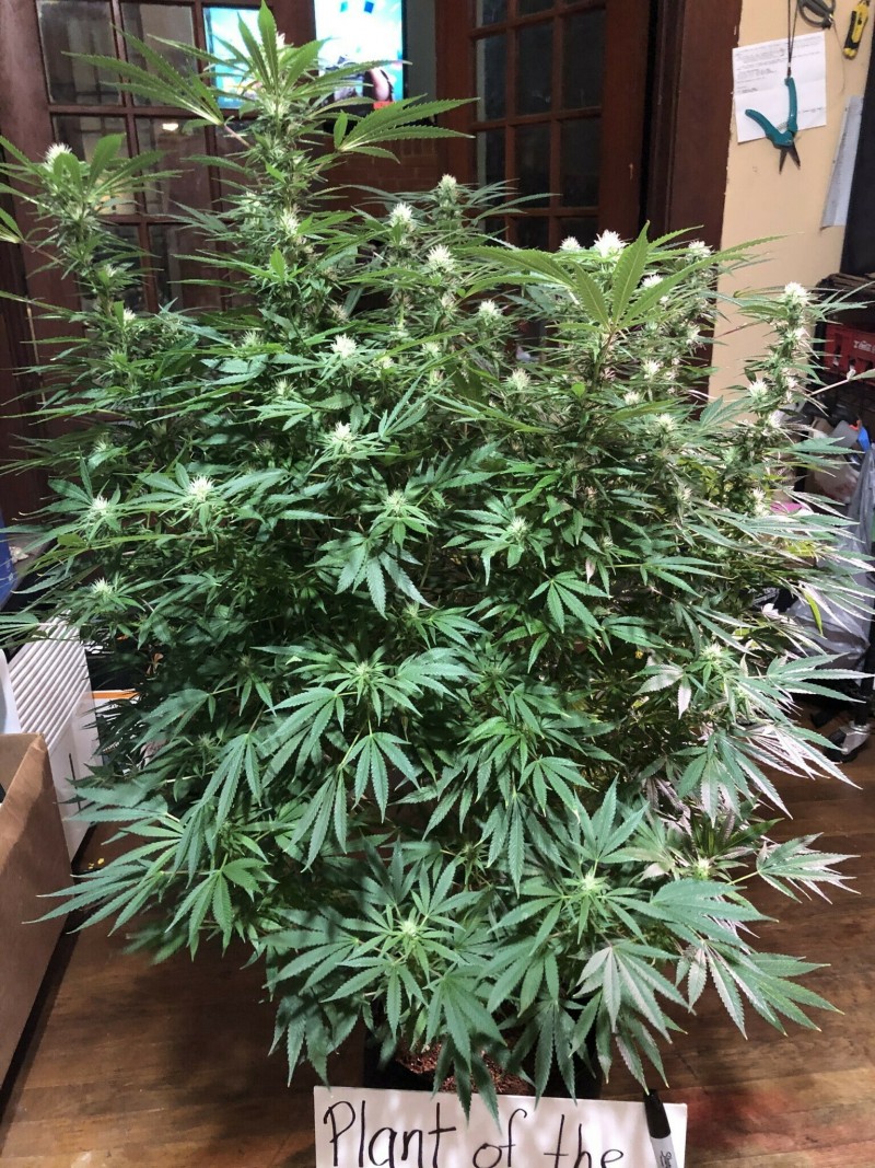 41F7730F-7235-48F4-8390-BFFF9CCE18E3