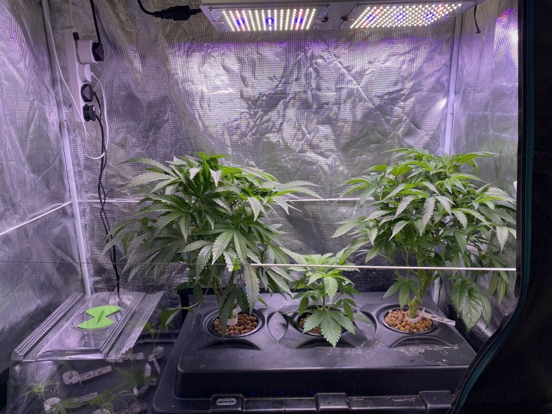 1CAA74B4-4E4E-44F1-BD67-13B6F8A727CD