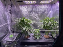 1CAA74B4-4E4E-44F1-BD67-13B6F8A727CD