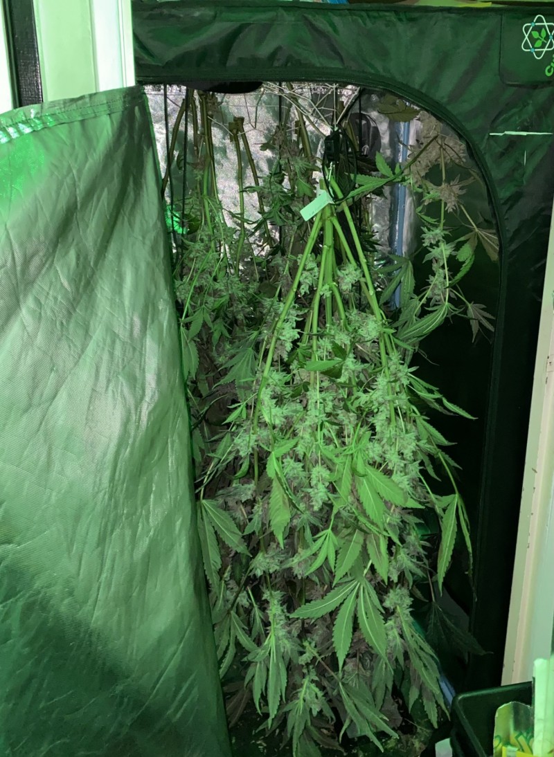 8FF51A3E-E4D0-429C-A77B-3229406A526E