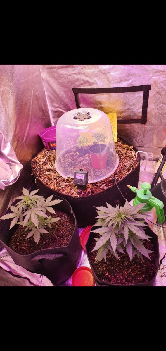 Screenshot_20210501-142725_Gallery