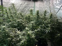 547B9F62-AC78-4B58-BE61-2113ACDE03E8