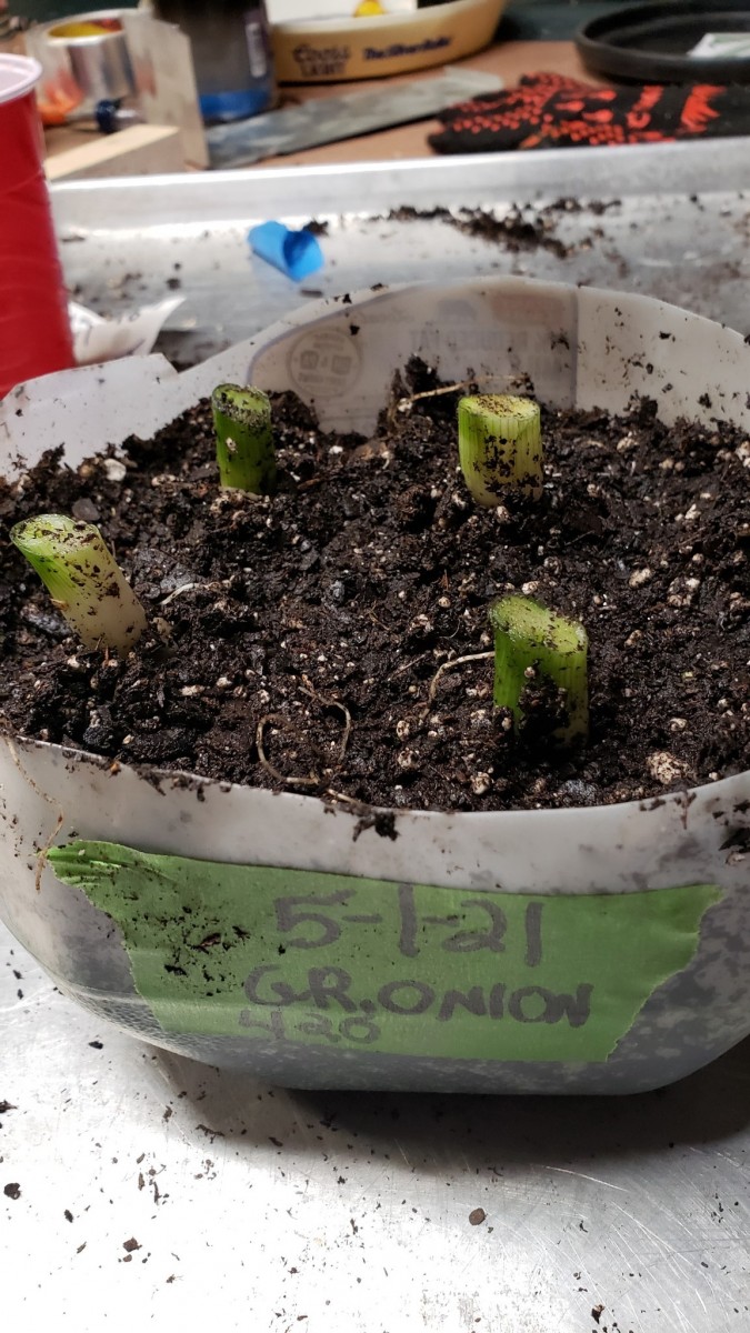 1619919771032428164004298453987