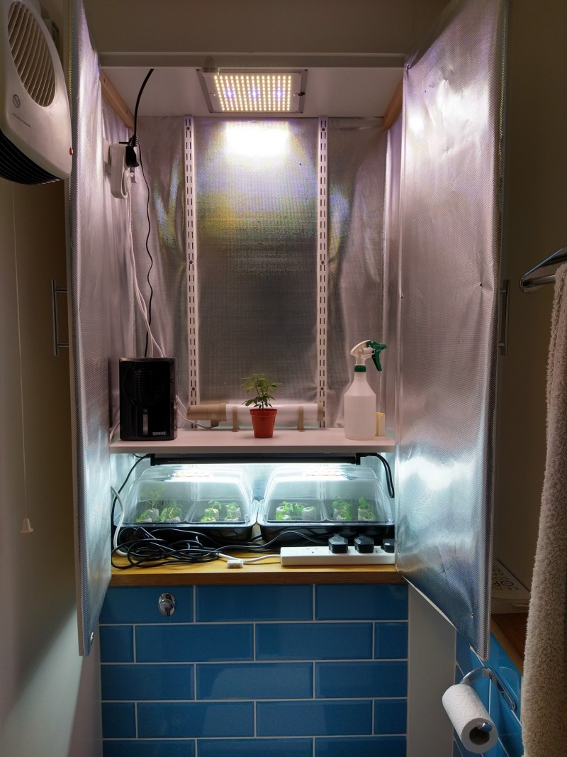 IMG_20210312_175638985_HDR (2)