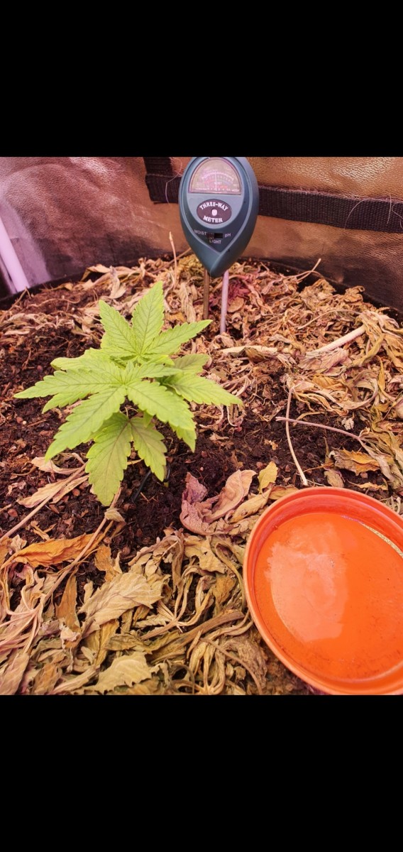 Screenshot_20210503-213949_Gallery