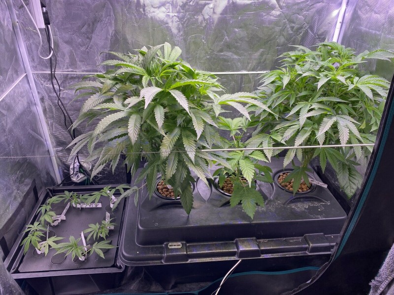 D2ECA989-17BC-43E4-9B6B-460C106D6C14