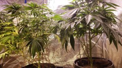 16201528504313185765737428956863