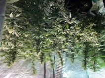 42A26301-51BB-4286-9B23-4BC9889058BC