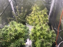 E6FBEE66-B725-4060-8AB9-A4A03065D3A8