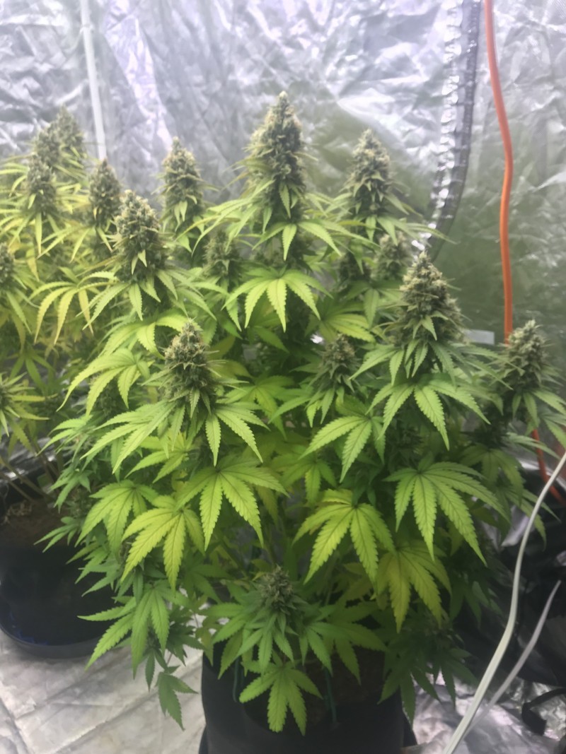 05C0962C-4B2E-45F6-9D81-07647F53CD82