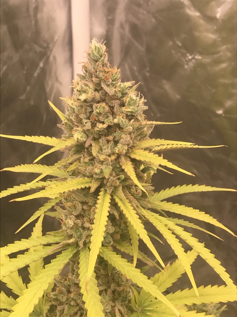 4CBB48A6-E37C-4586-B38C-3C28A8C8B57D