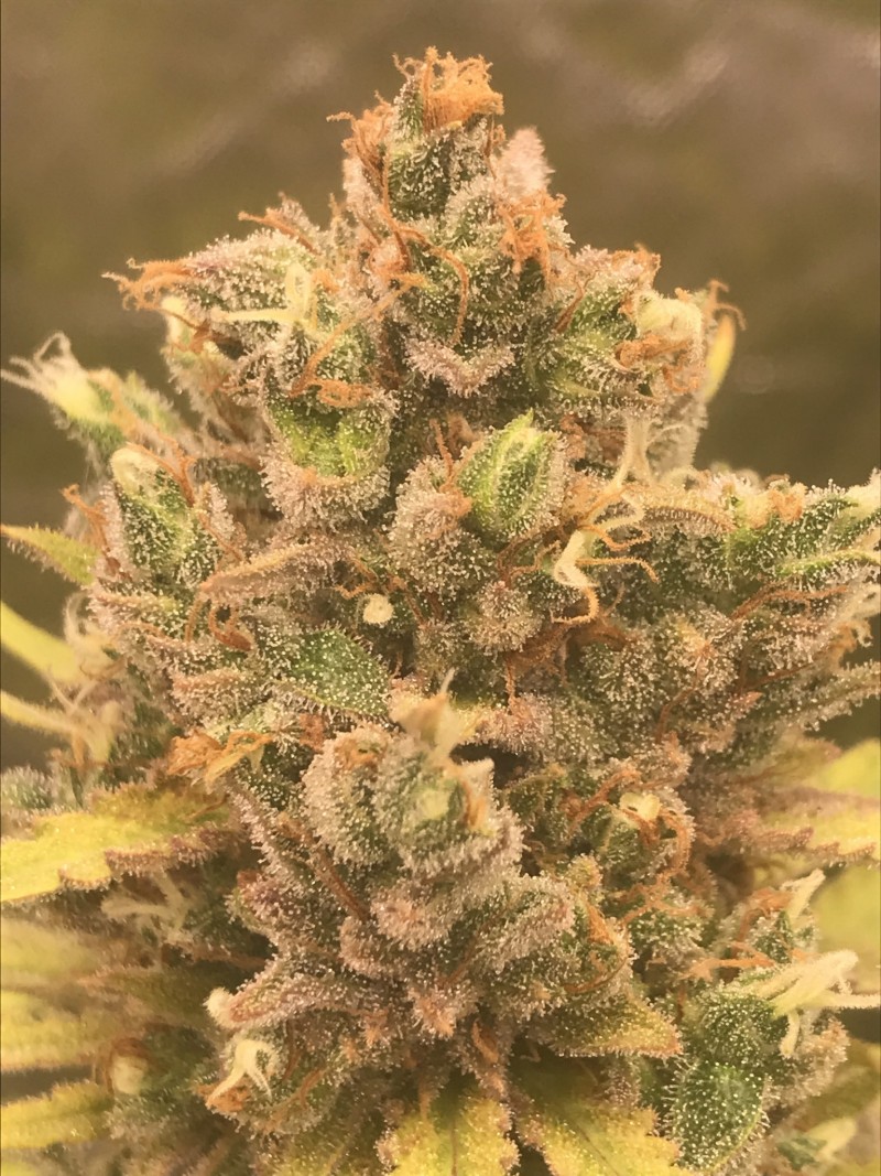 B1B63C85-A0B0-4840-B0B5-52AE9CEDE690