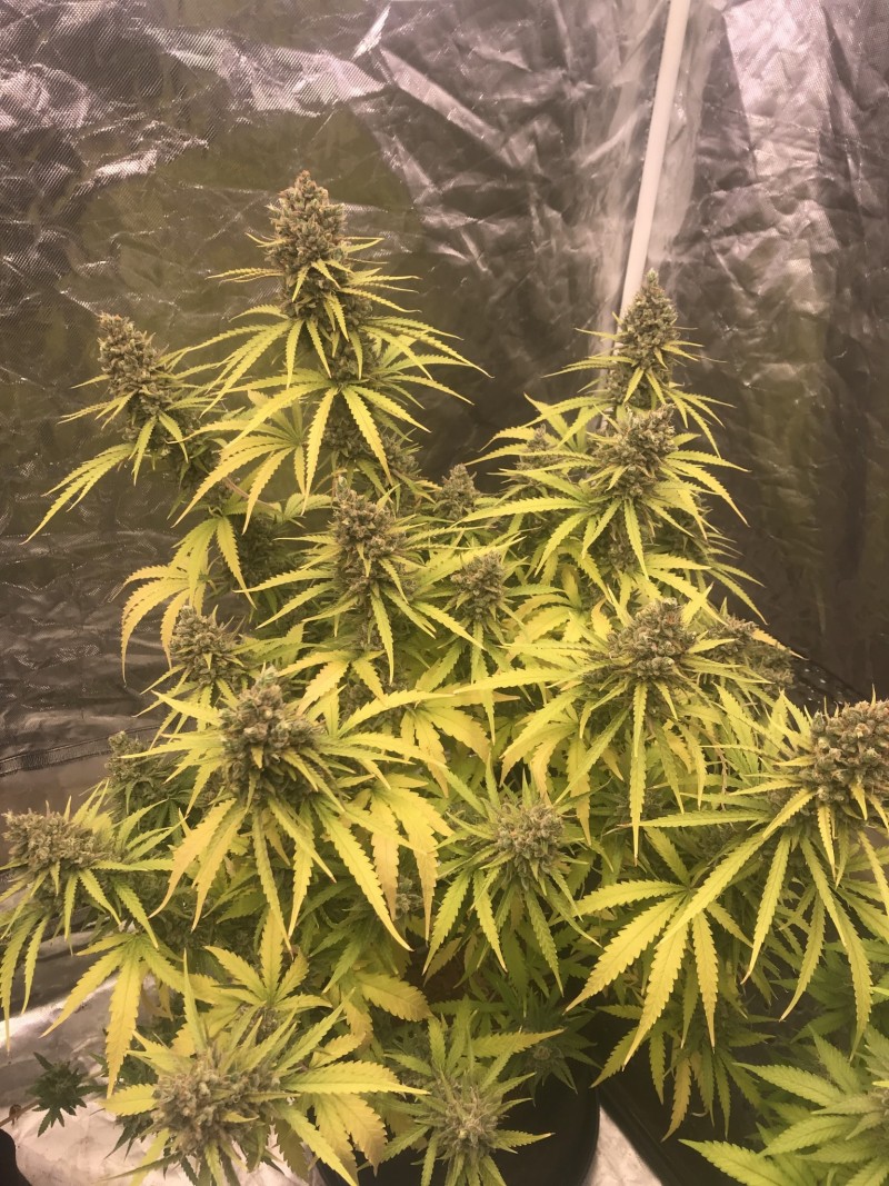 AF1E32BB-7E8E-4784-9C77-3050A51926FB