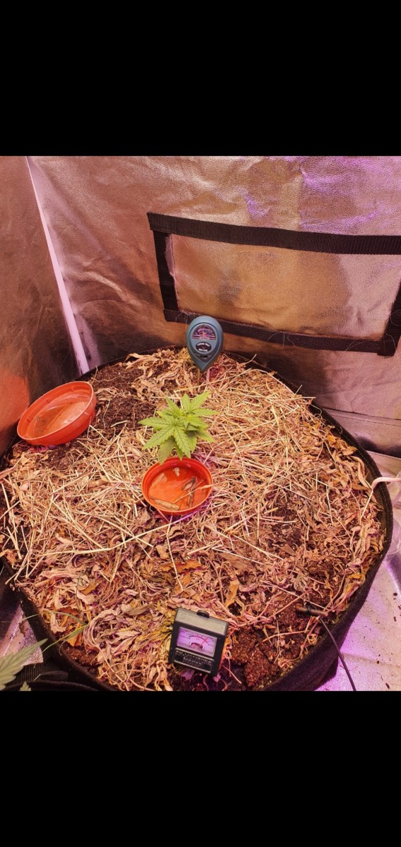 Screenshot_20210505-210725_Gallery