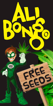 Growroom420-180-x-360px-FULL