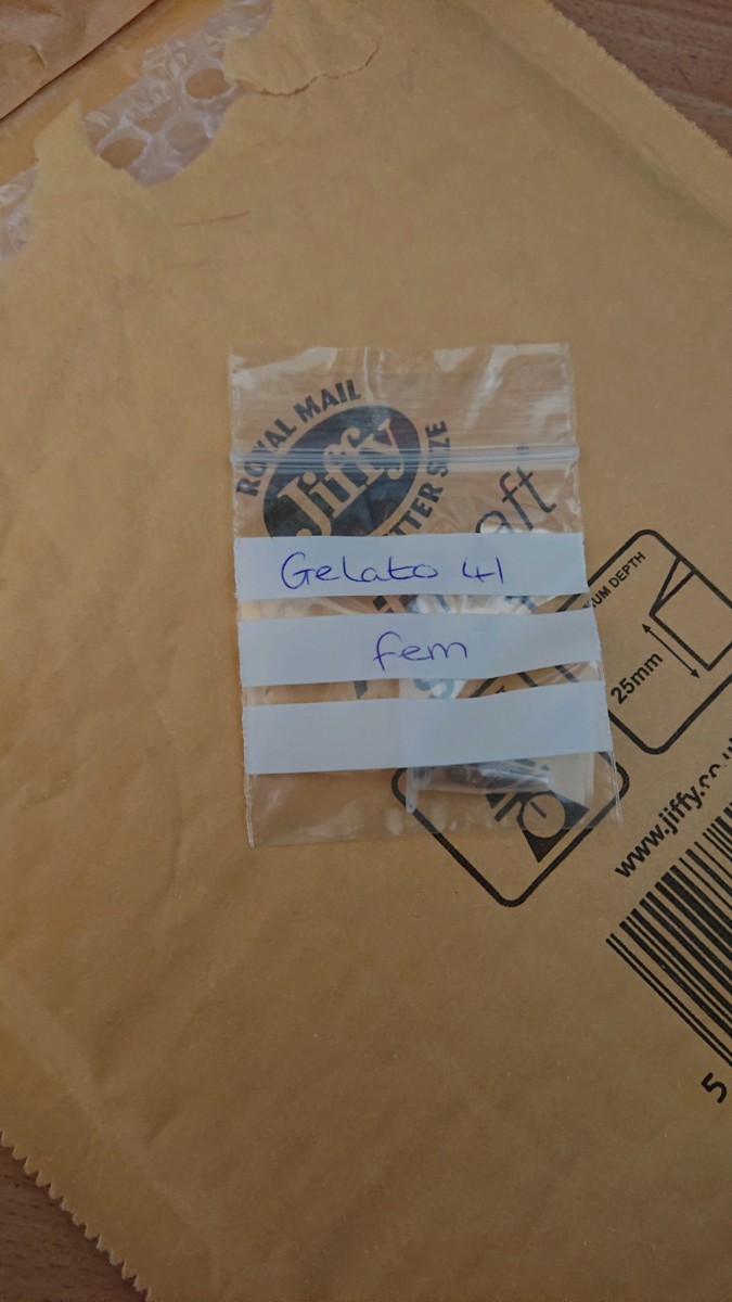 obscura1620298287788