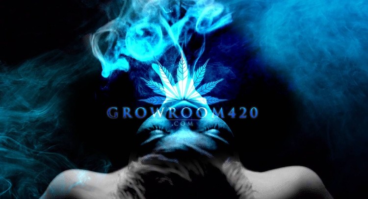 EBD8C946-80E7-43E1-8D53-1E050758A166